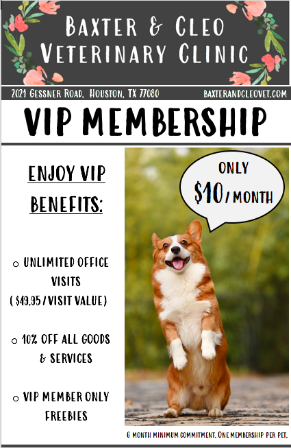 VIP Membership | Veterinary Clinic